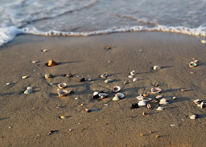 Lovely Flat Wiht Enclosed Garden And Fireplace Bibione